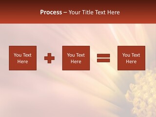 A Close Up Of A Flower With A Red Background PowerPoint Template