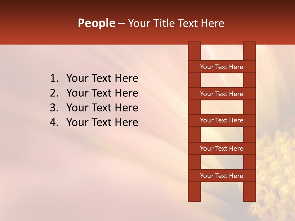 A Close Up Of A Flower With A Red Background PowerPoint Template