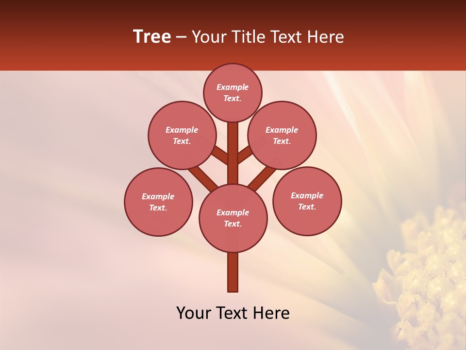 A Close Up Of A Flower With A Red Background PowerPoint Template