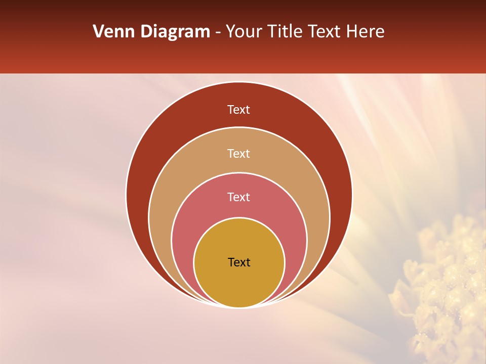A Close Up Of A Flower With A Red Background PowerPoint Template