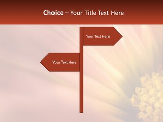 A Close Up Of A Flower With A Red Background PowerPoint Template