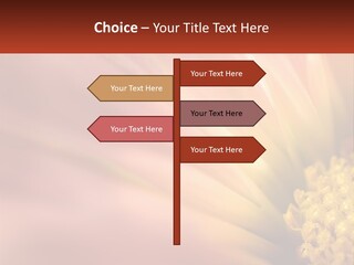 A Close Up Of A Flower With A Red Background PowerPoint Template