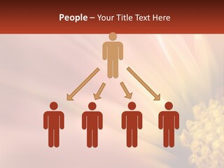 A Close Up Of A Flower With A Red Background PowerPoint Template