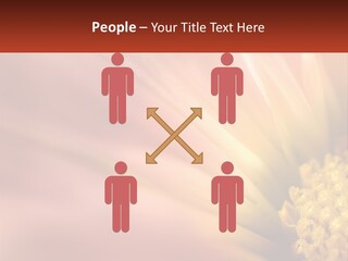 A Close Up Of A Flower With A Red Background PowerPoint Template