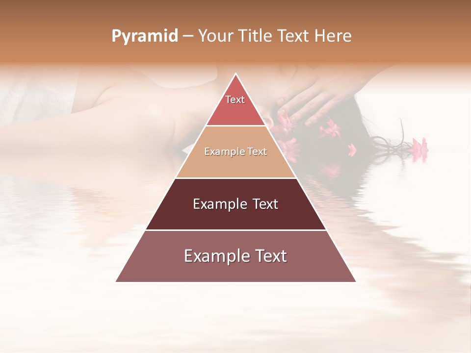 A Woman Getting Her Hair Done By A Professional Hair Stylist PowerPoint Template