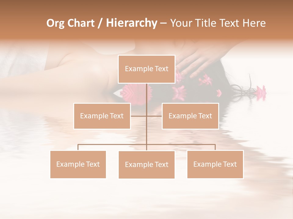 A Woman Getting Her Hair Done By A Professional Hair Stylist PowerPoint Template