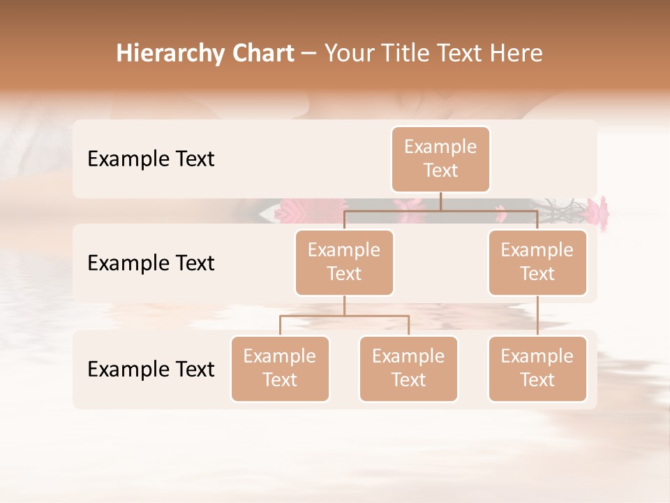 A Woman Getting Her Hair Done By A Professional Hair Stylist PowerPoint Template
