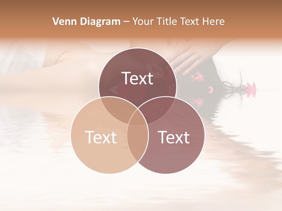 A Woman Getting Her Hair Done By A Professional Hair Stylist PowerPoint Template