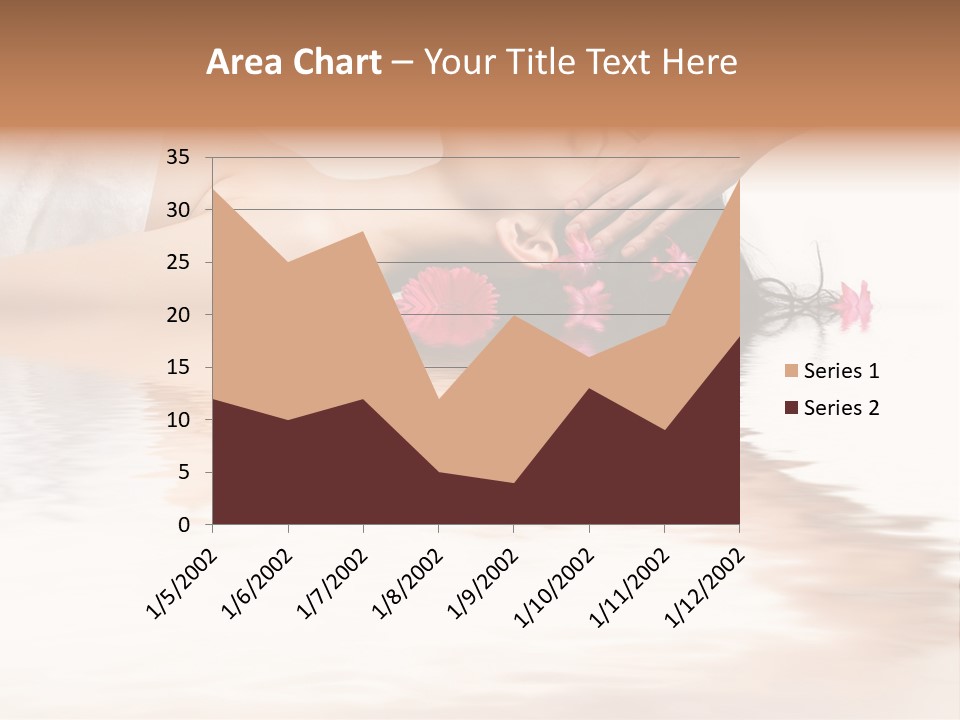 A Woman Getting Her Hair Done By A Professional Hair Stylist PowerPoint Template