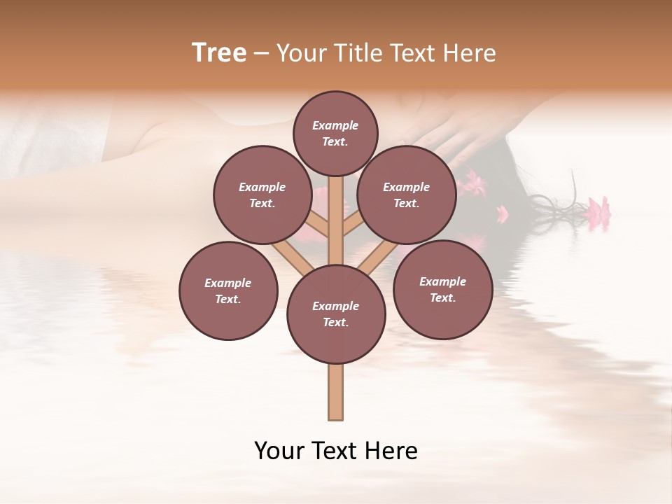 A Woman Getting Her Hair Done By A Professional Hair Stylist PowerPoint Template