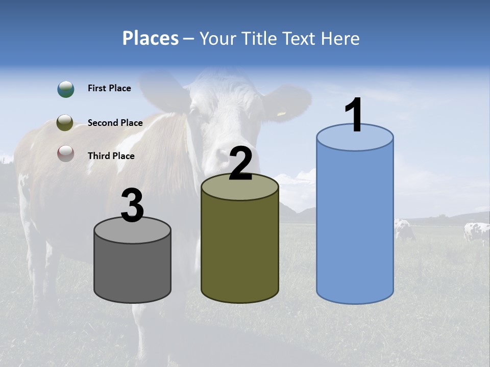 A Brown And White Cow Standing On Top Of A Lush Green Field PowerPoint Template