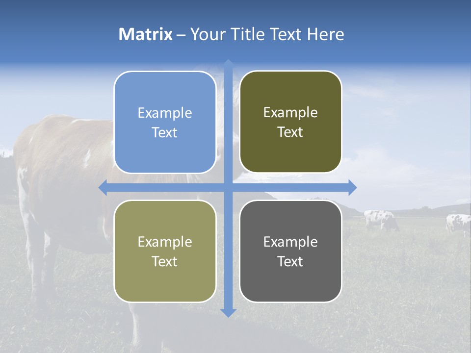 A Brown And White Cow Standing On Top Of A Lush Green Field PowerPoint Template