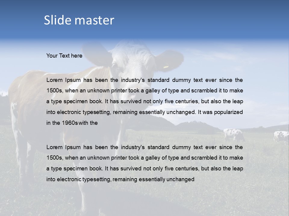 A Brown And White Cow Standing On Top Of A Lush Green Field PowerPoint Template