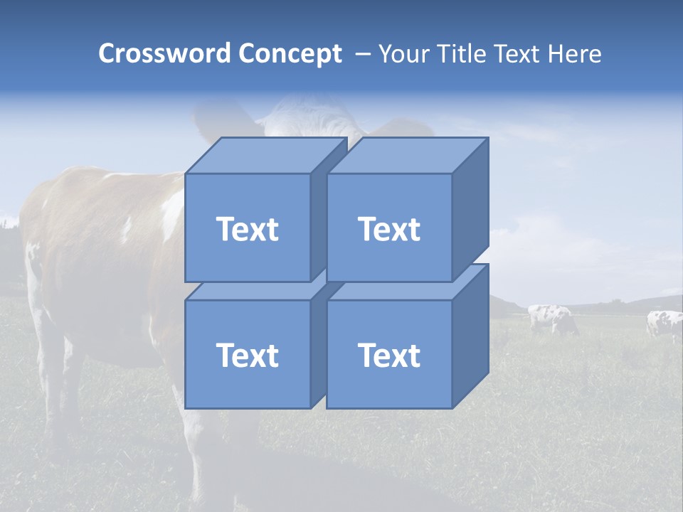 A Brown And White Cow Standing On Top Of A Lush Green Field PowerPoint Template