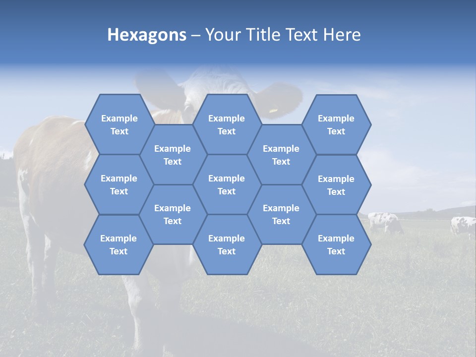 A Brown And White Cow Standing On Top Of A Lush Green Field PowerPoint Template