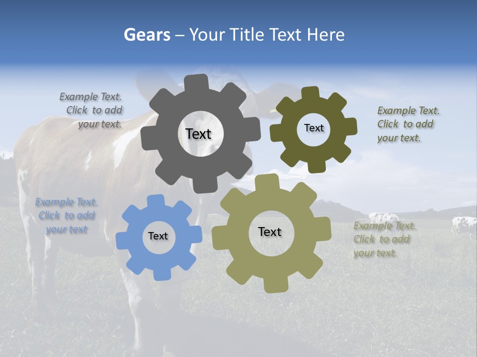 A Brown And White Cow Standing On Top Of A Lush Green Field PowerPoint Template