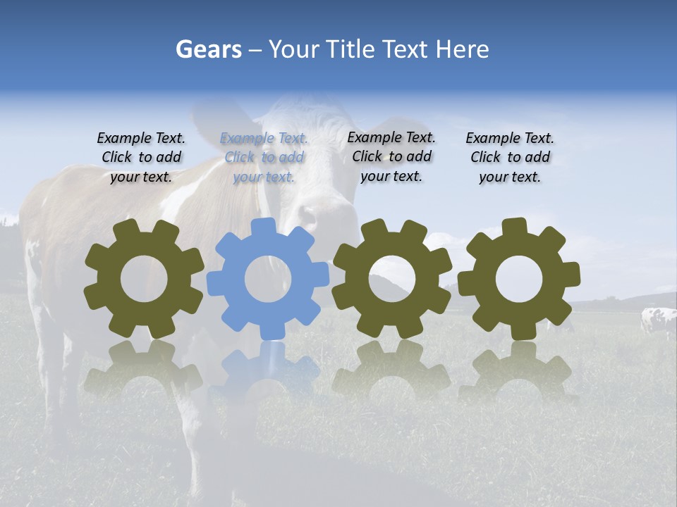 A Brown And White Cow Standing On Top Of A Lush Green Field PowerPoint Template