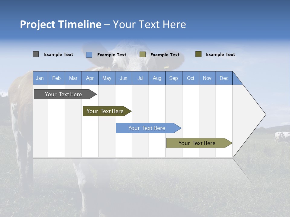 A Brown And White Cow Standing On Top Of A Lush Green Field PowerPoint Template