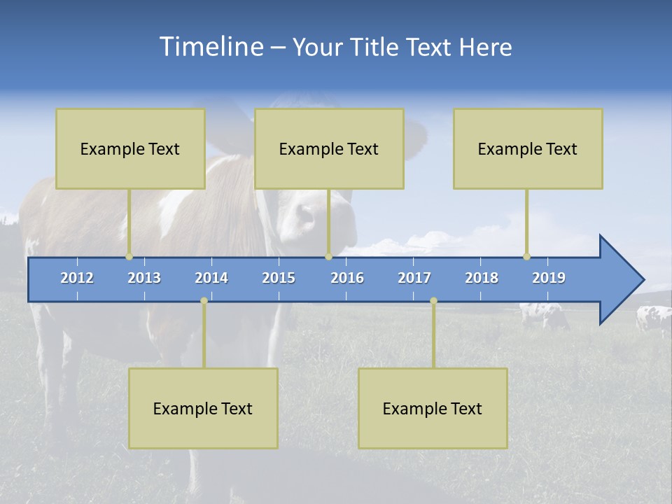 A Brown And White Cow Standing On Top Of A Lush Green Field PowerPoint Template