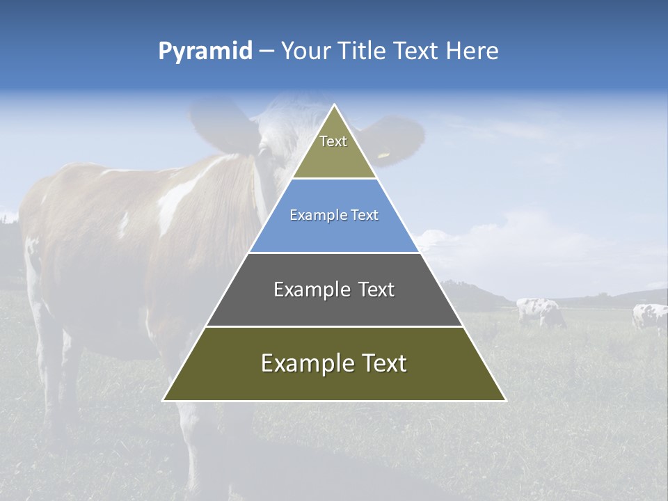 A Brown And White Cow Standing On Top Of A Lush Green Field PowerPoint Template