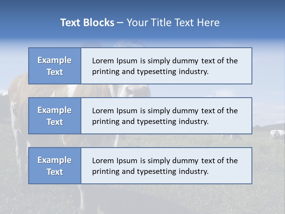 A Brown And White Cow Standing On Top Of A Lush Green Field PowerPoint Template