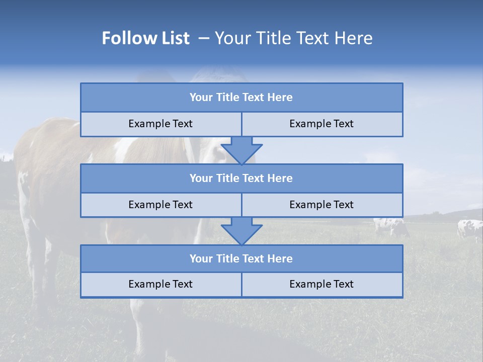A Brown And White Cow Standing On Top Of A Lush Green Field PowerPoint Template