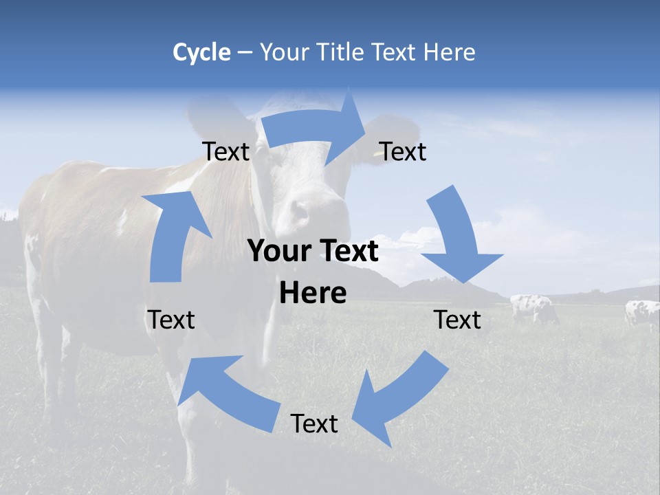 A Brown And White Cow Standing On Top Of A Lush Green Field PowerPoint Template