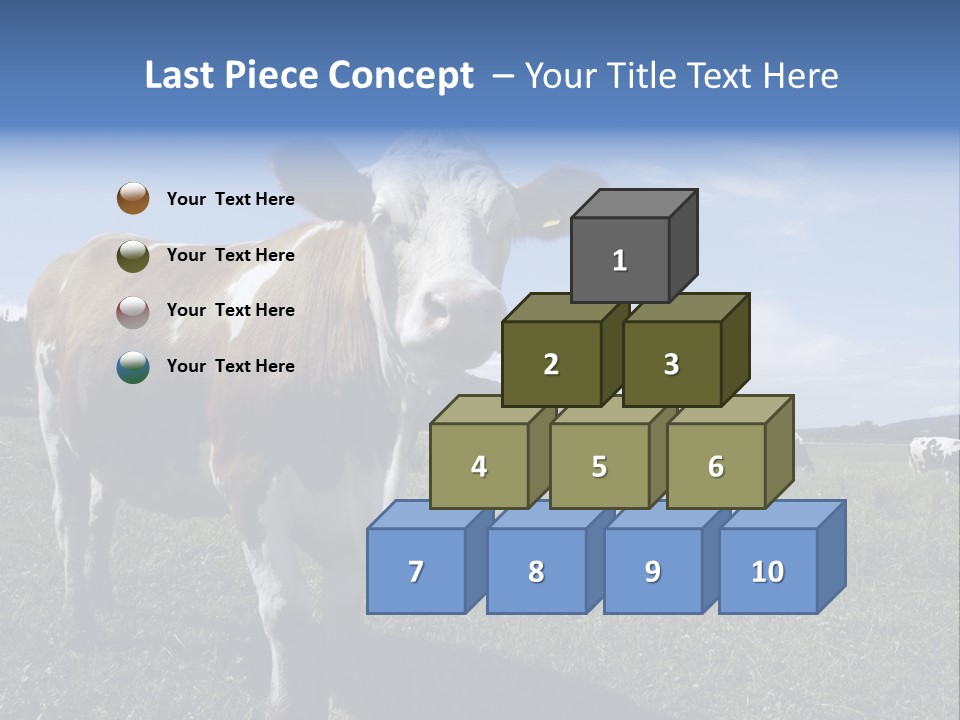 A Brown And White Cow Standing On Top Of A Lush Green Field PowerPoint Template
