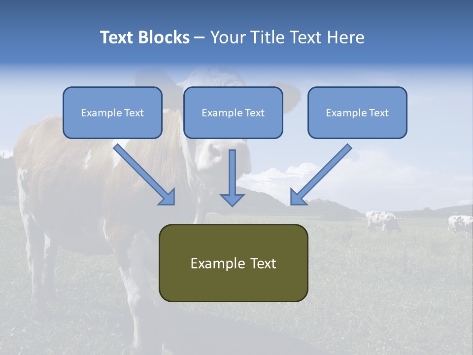A Brown And White Cow Standing On Top Of A Lush Green Field PowerPoint Template