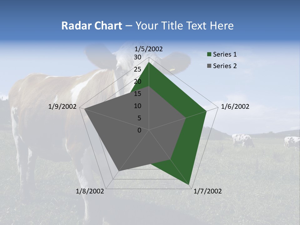 A Brown And White Cow Standing On Top Of A Lush Green Field PowerPoint Template