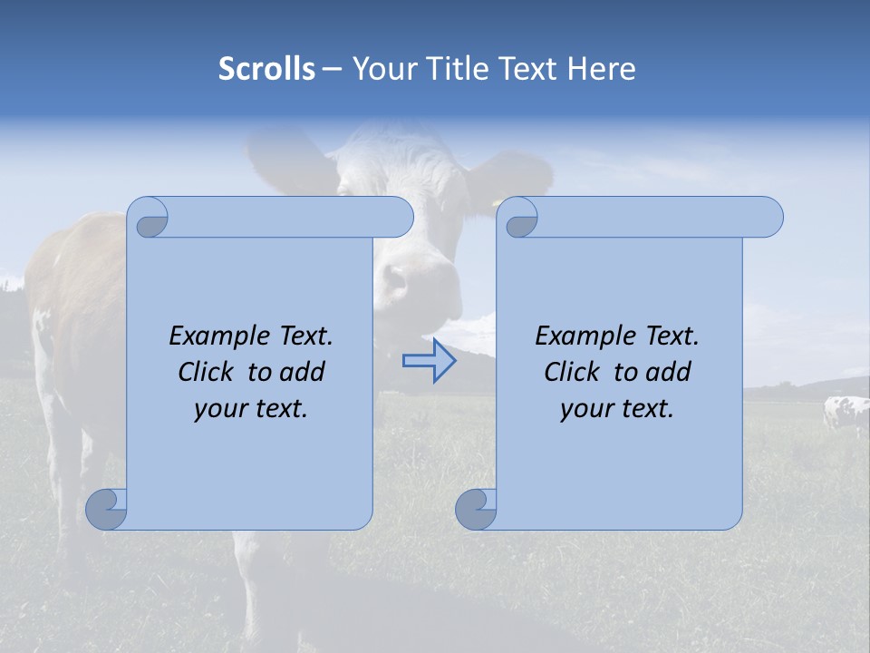 A Brown And White Cow Standing On Top Of A Lush Green Field PowerPoint Template