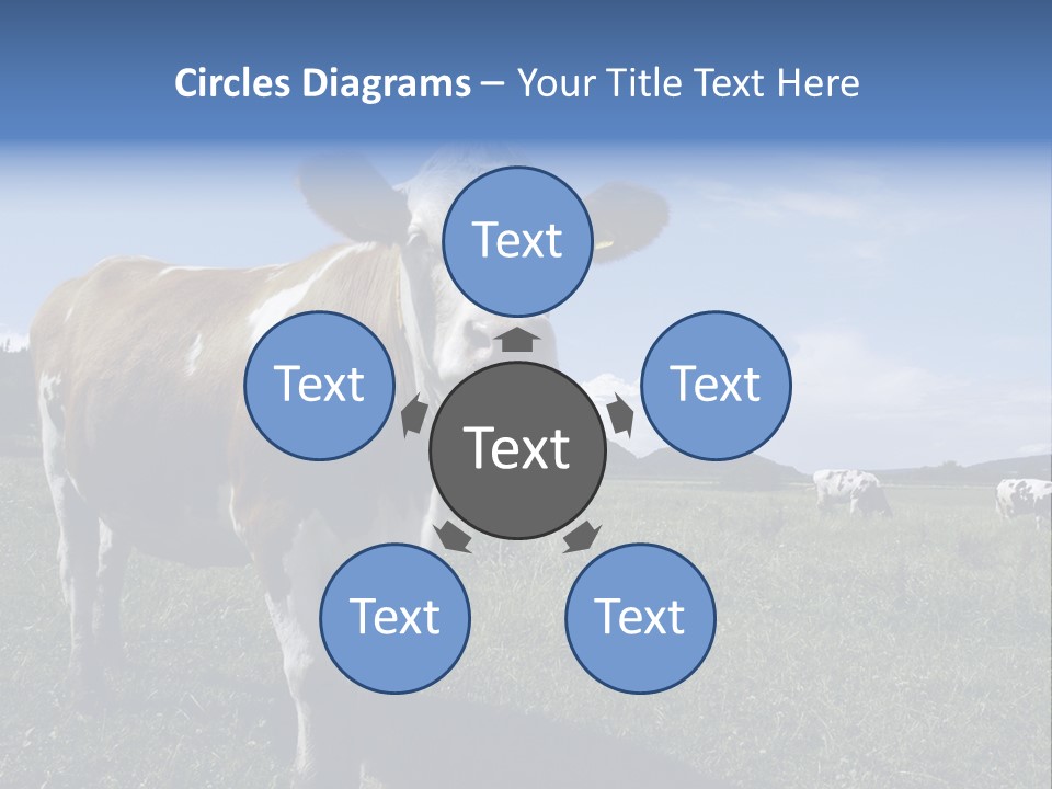 A Brown And White Cow Standing On Top Of A Lush Green Field PowerPoint Template