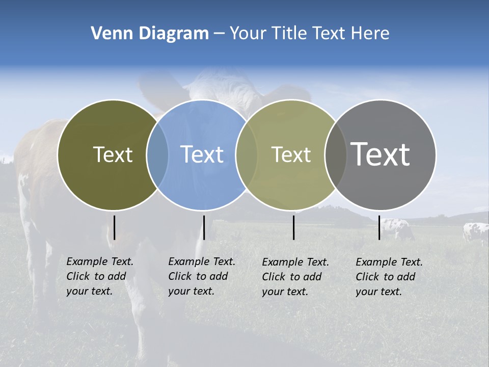 A Brown And White Cow Standing On Top Of A Lush Green Field PowerPoint Template