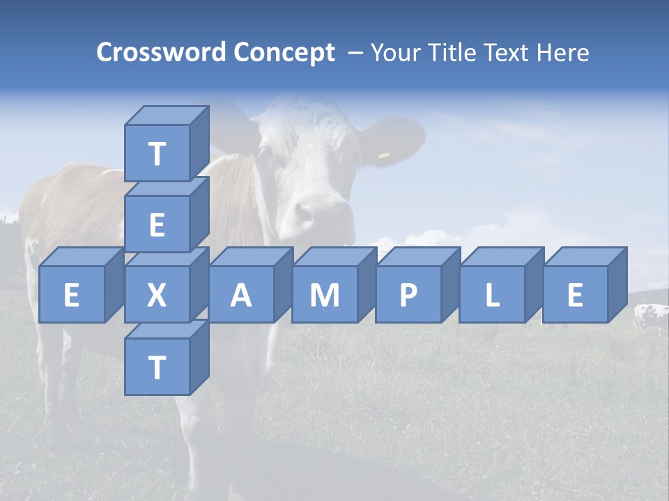 A Brown And White Cow Standing On Top Of A Lush Green Field PowerPoint Template