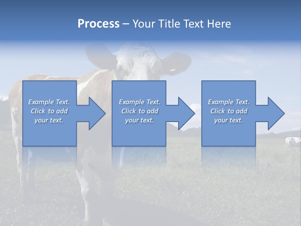 A Brown And White Cow Standing On Top Of A Lush Green Field PowerPoint Template