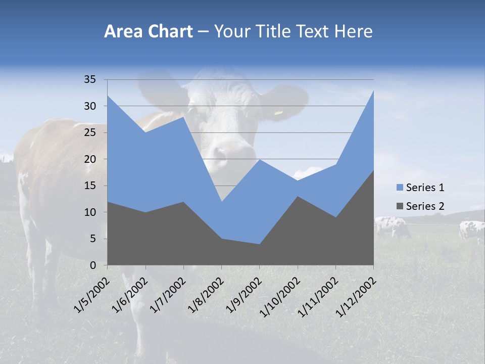 A Brown And White Cow Standing On Top Of A Lush Green Field PowerPoint Template