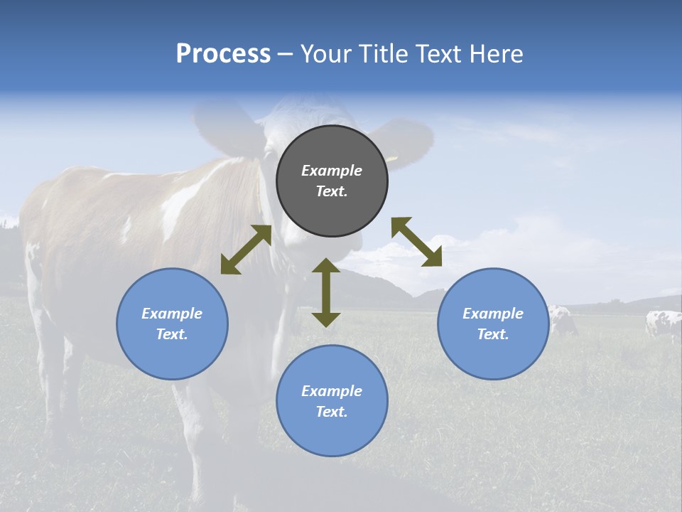 A Brown And White Cow Standing On Top Of A Lush Green Field PowerPoint Template