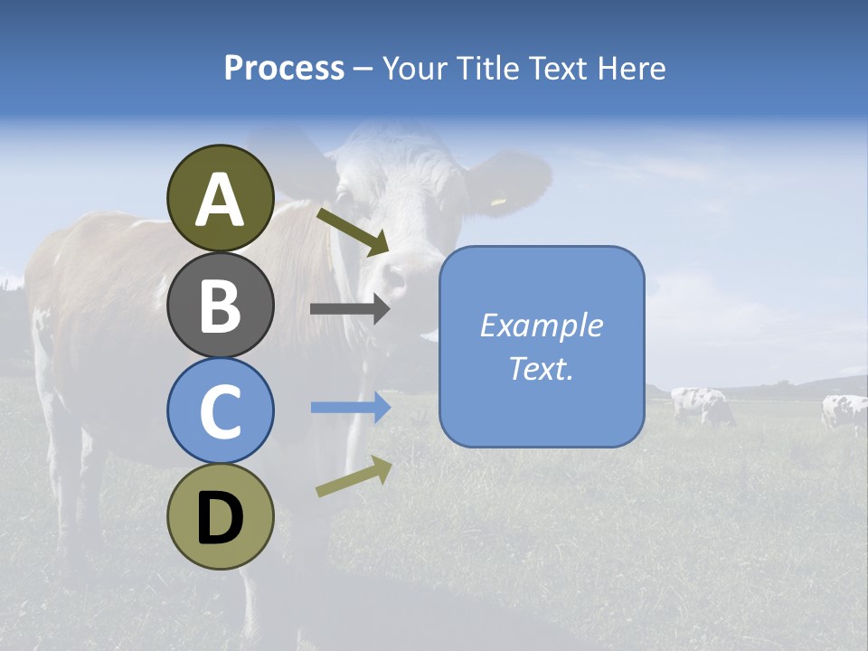A Brown And White Cow Standing On Top Of A Lush Green Field PowerPoint Template