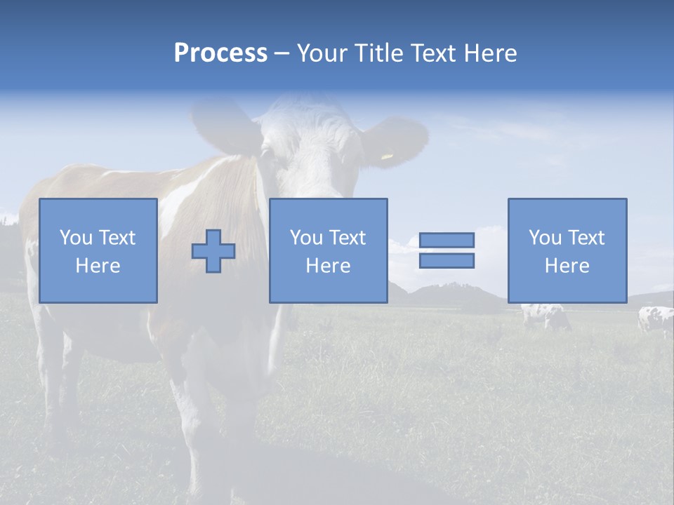 A Brown And White Cow Standing On Top Of A Lush Green Field PowerPoint Template