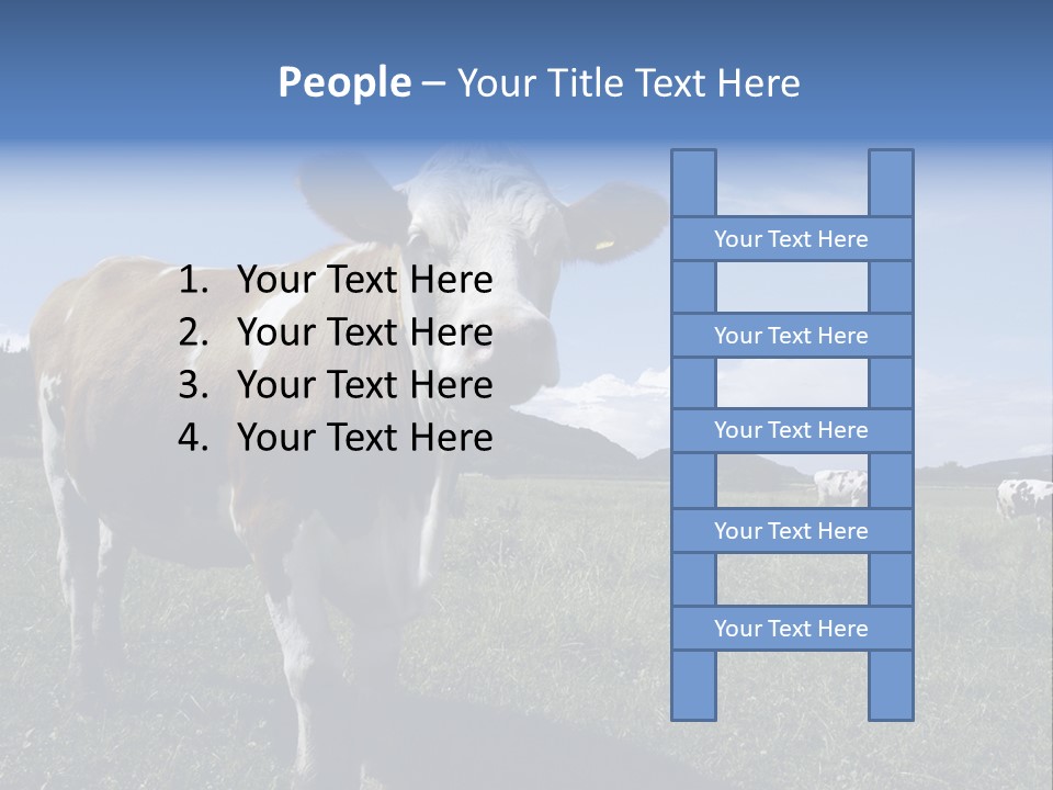 A Brown And White Cow Standing On Top Of A Lush Green Field PowerPoint Template
