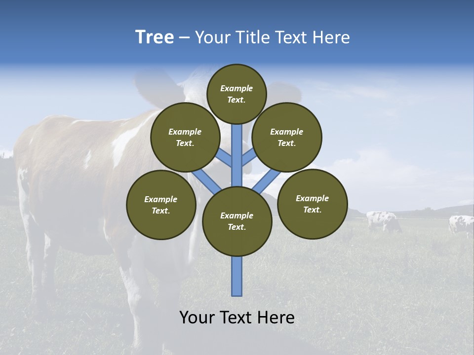 A Brown And White Cow Standing On Top Of A Lush Green Field PowerPoint Template