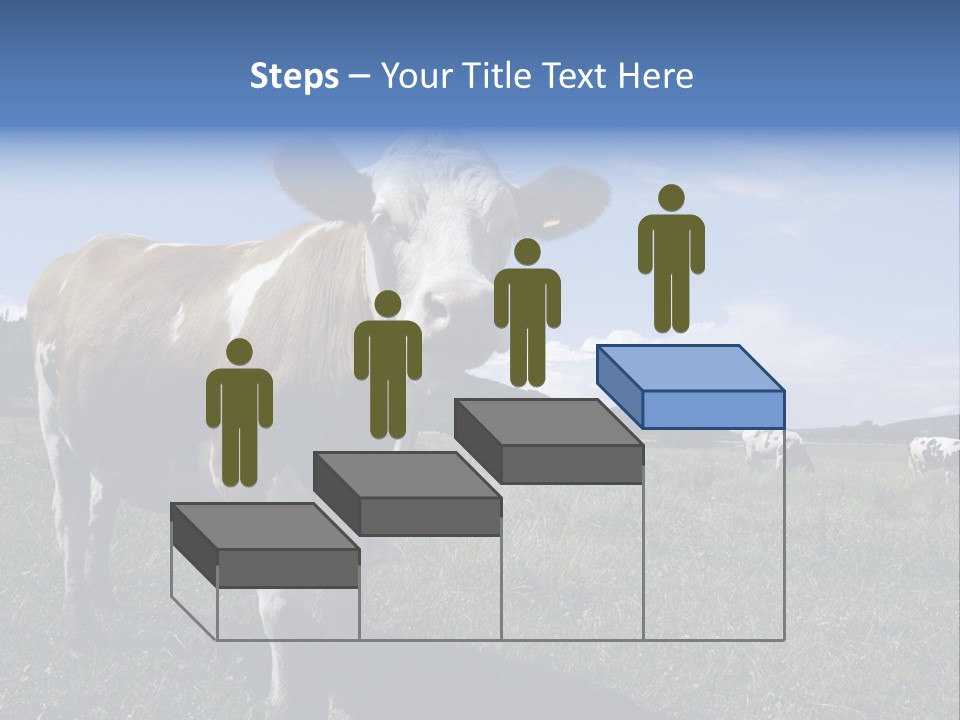 A Brown And White Cow Standing On Top Of A Lush Green Field PowerPoint Template