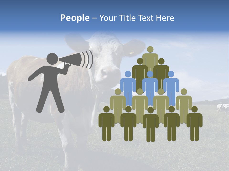 A Brown And White Cow Standing On Top Of A Lush Green Field PowerPoint Template