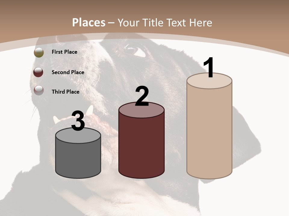 A Black And White Dog With His Mouth Open PowerPoint Template