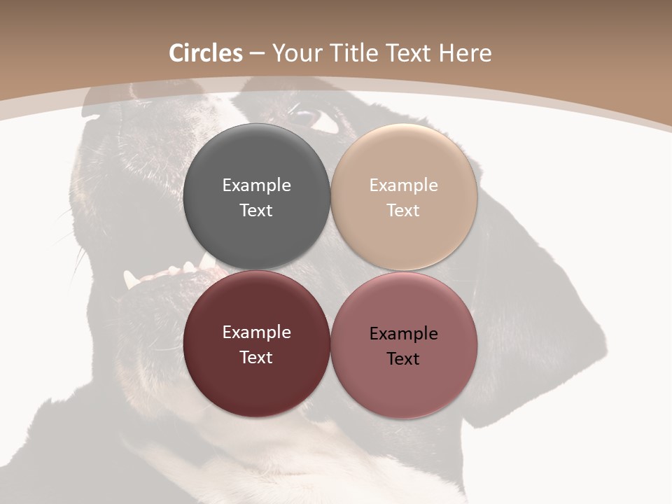 A Black And White Dog With His Mouth Open PowerPoint Template