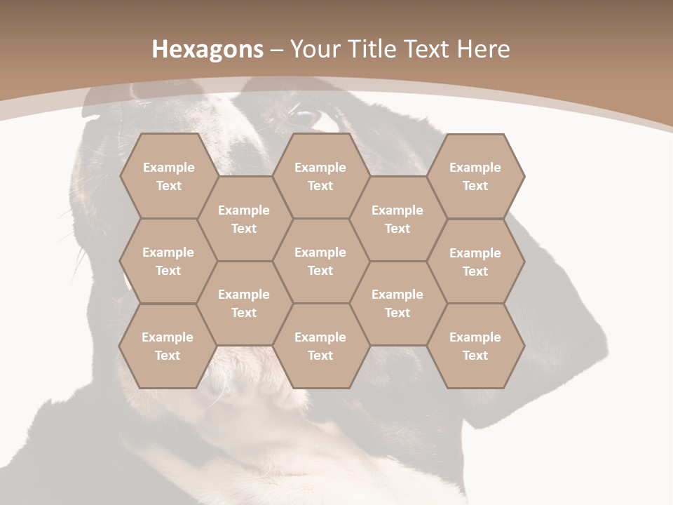 A Black And White Dog With His Mouth Open PowerPoint Template