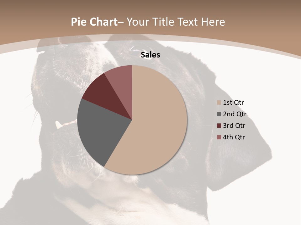 A Black And White Dog With His Mouth Open PowerPoint Template