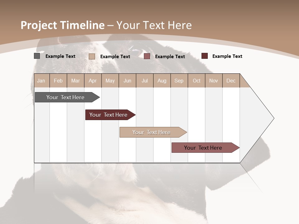 A Black And White Dog With His Mouth Open PowerPoint Template