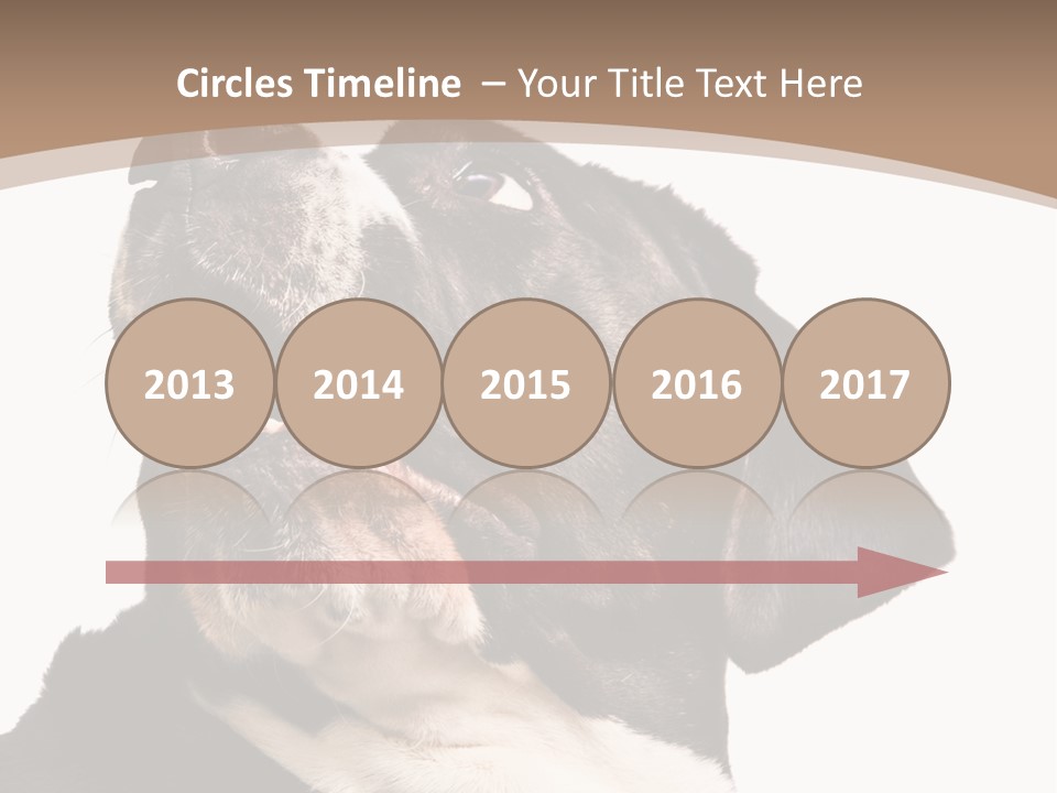 A Black And White Dog With His Mouth Open PowerPoint Template