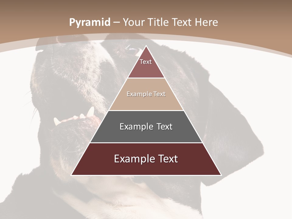 A Black And White Dog With His Mouth Open PowerPoint Template